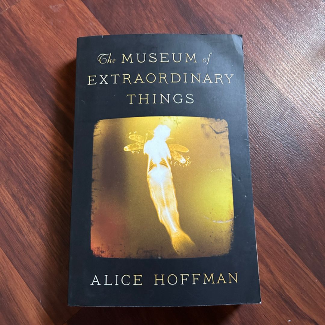 The Museum of Extraordinary Things