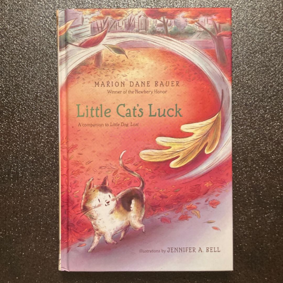Little Cat's Luck