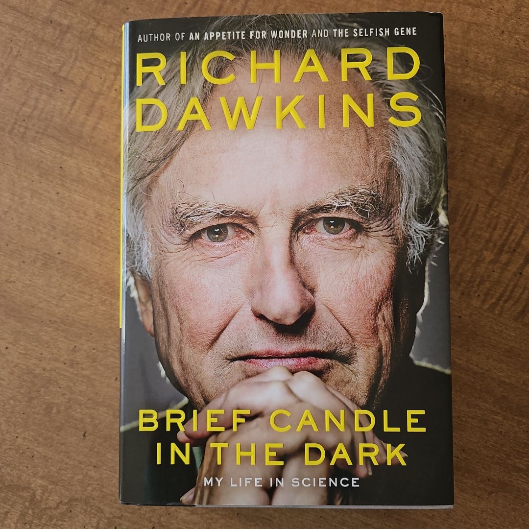 Brief Candle in the Dark