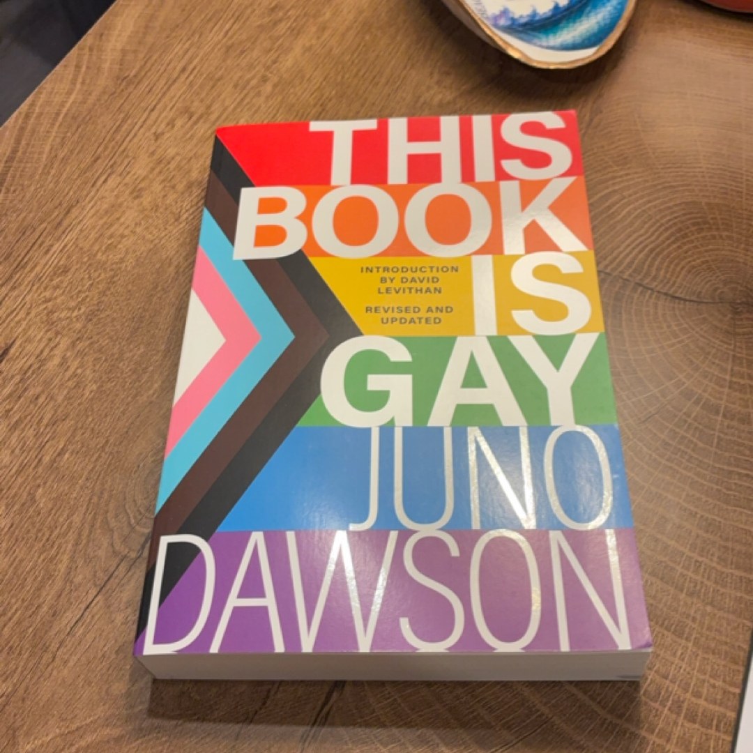 This Book Is Gay