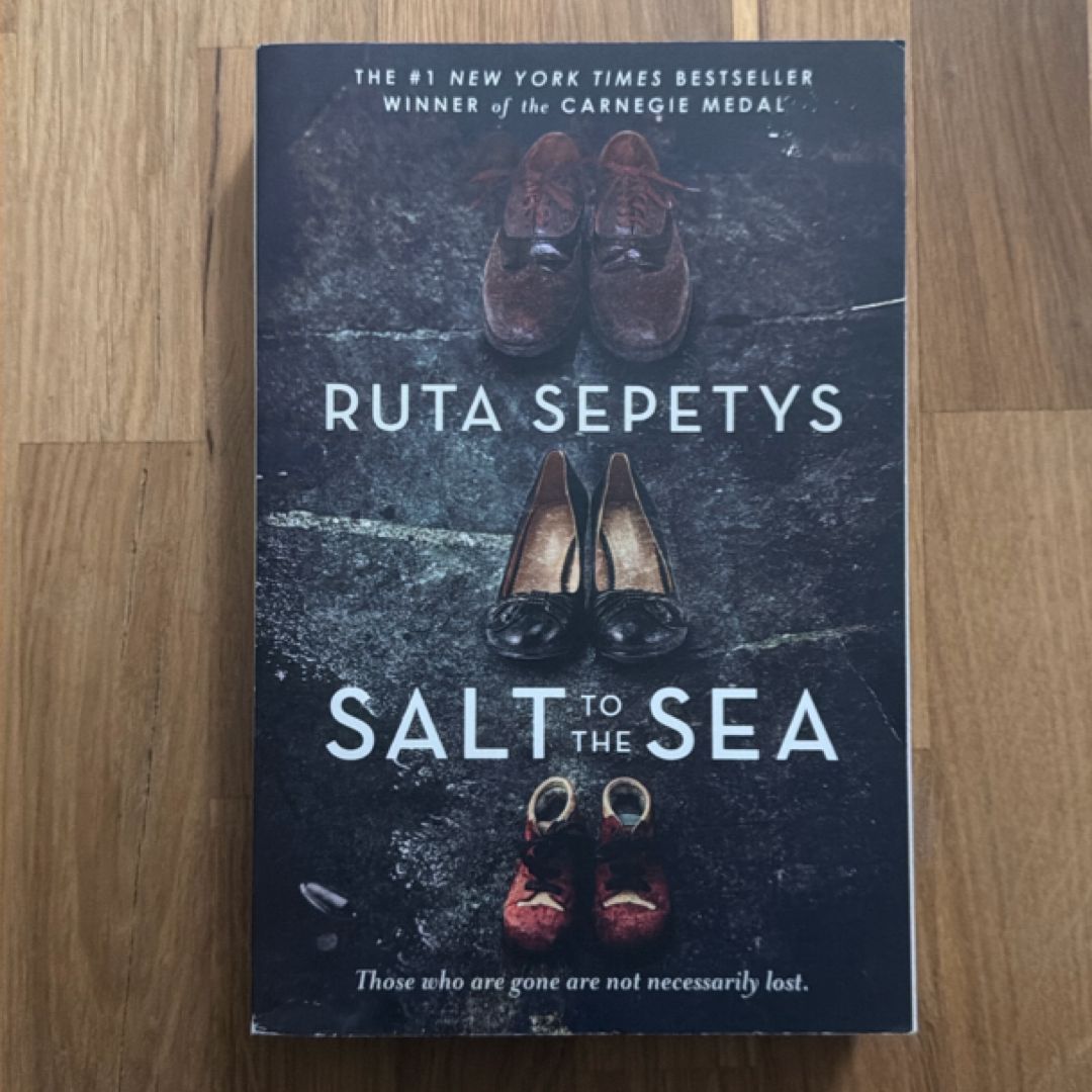 Salt to the Sea