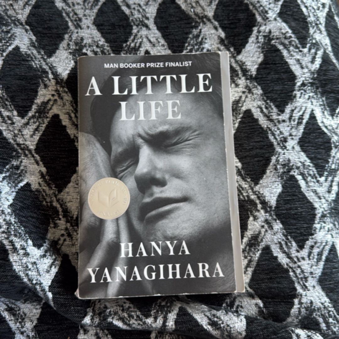 A Little Life