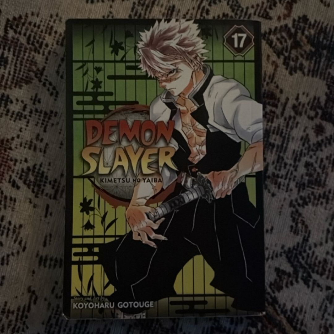Demon Slayer: Kimetsu No Yaiba, Vol. 17