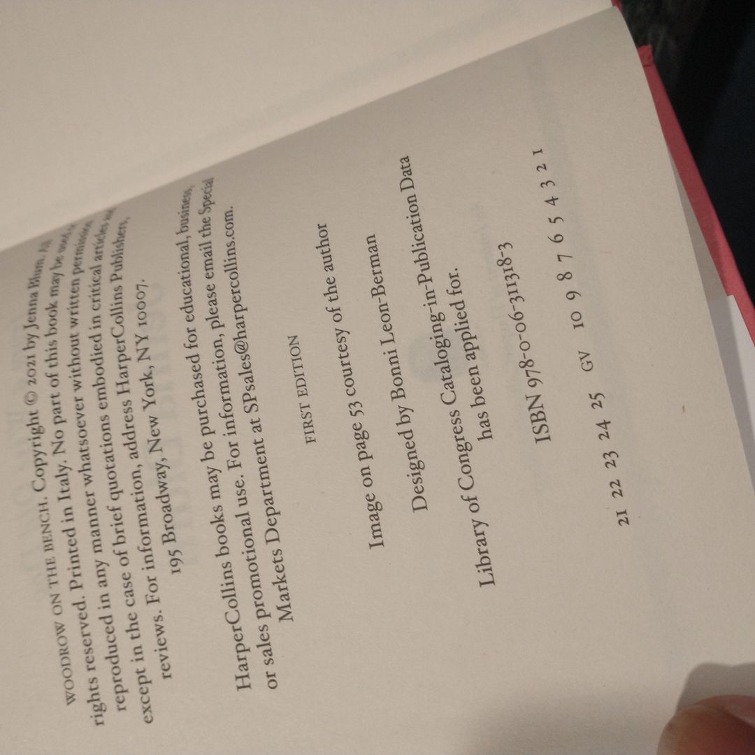 Woodrow on the Bench