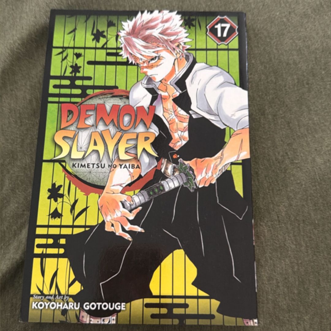 Demon Slayer: Kimetsu No Yaiba, Vol. 17