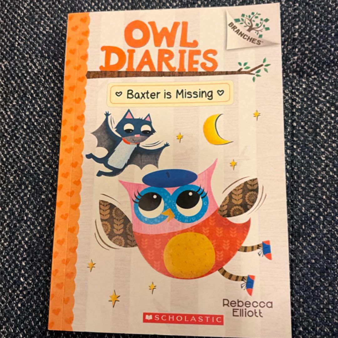 Baxter Is Missing - A Branches Book