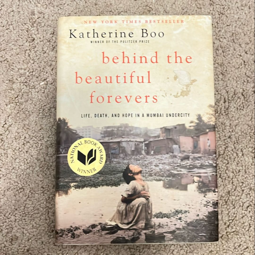 Behind the Beautiful Forevers