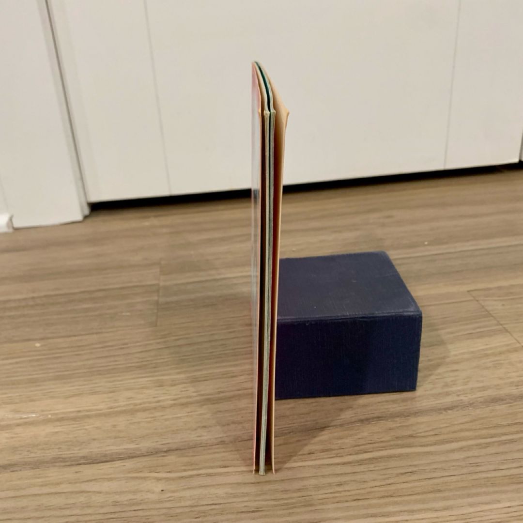 Flip the Dolphin Saves the Day