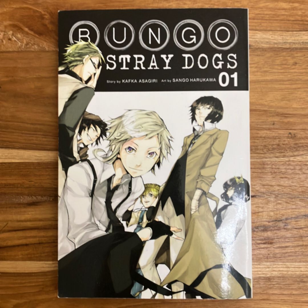 Bungo Stray Dogs, Vol. 1