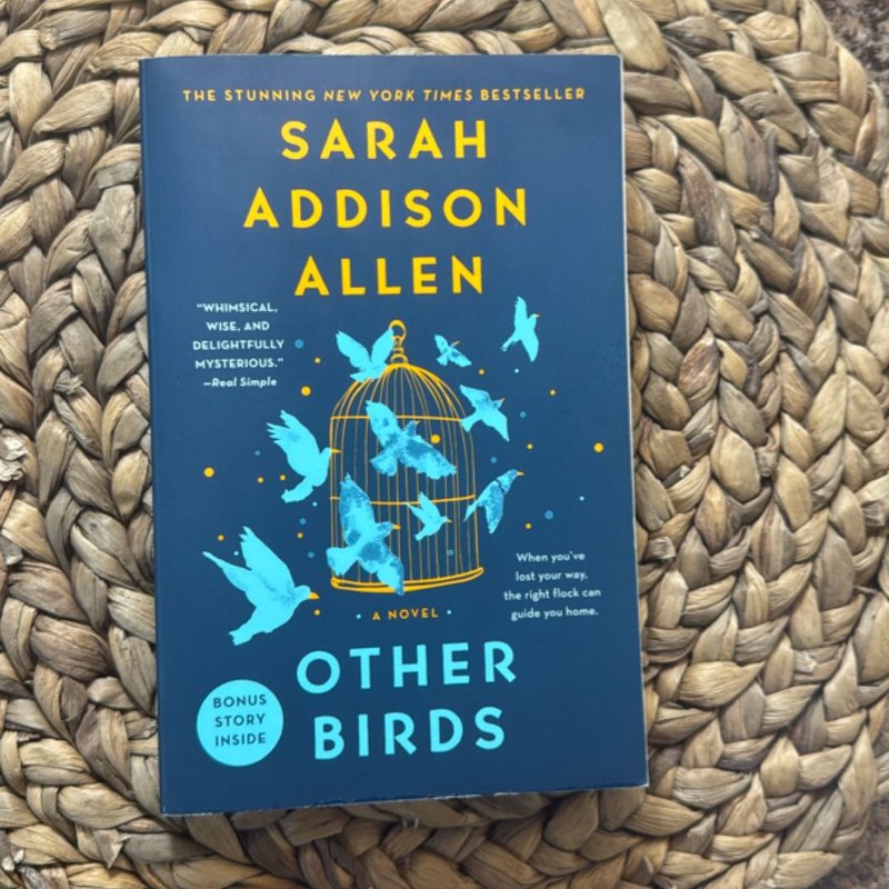 Other Birds by Sarah Addison Allen, Paperback | Pangobooks