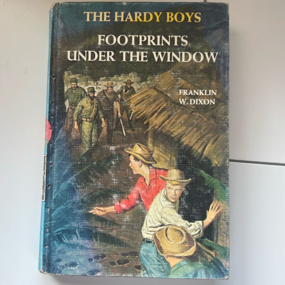 The Hardy Boys