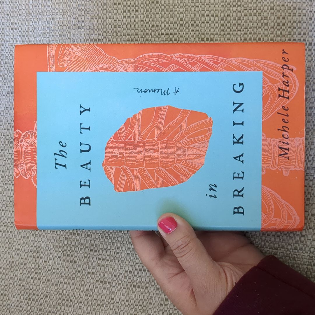 The Beauty in Breaking