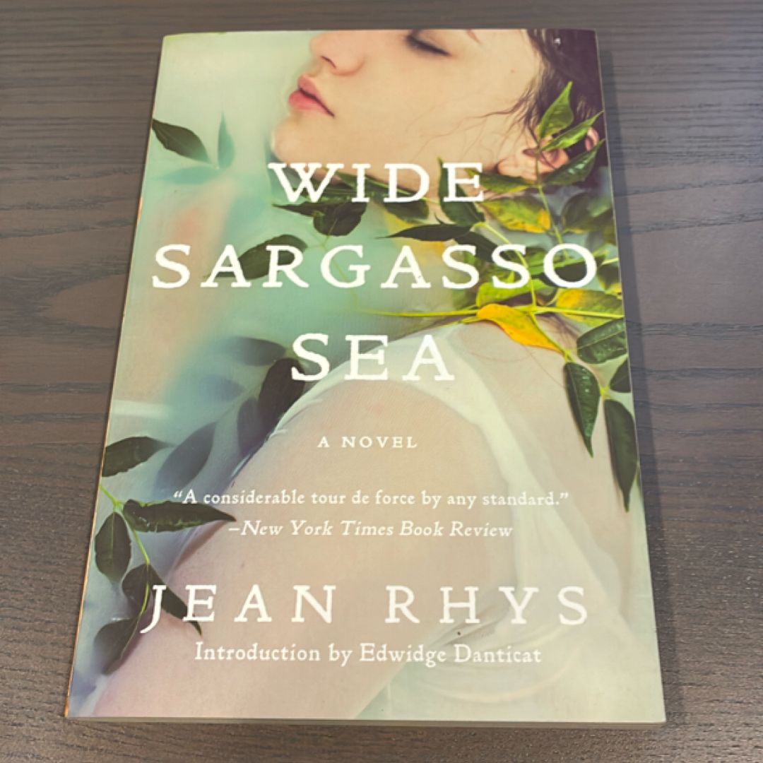 Wide Sargasso Sea