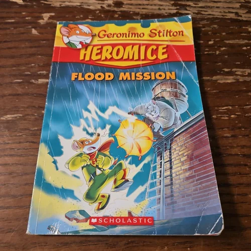 Flood Mission
