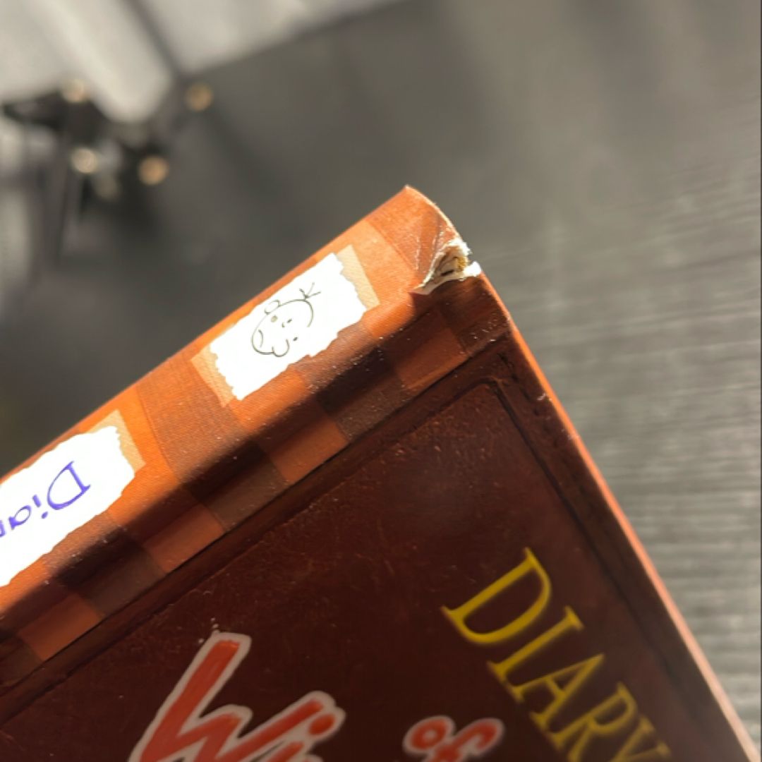 The Third Wheel (Diary of a Wimpy Kid #7)