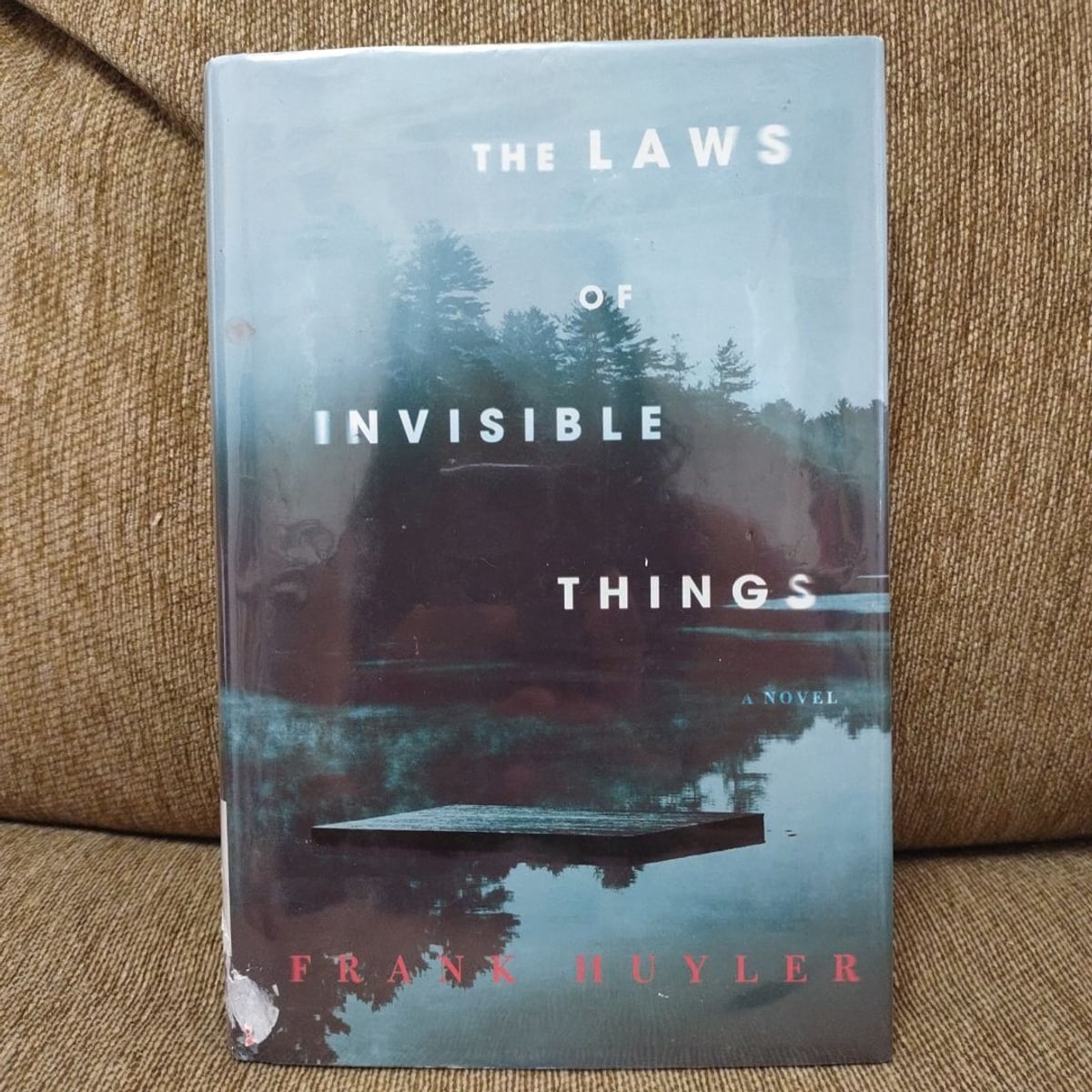 The Laws of Invisible Things by Frank Huyler