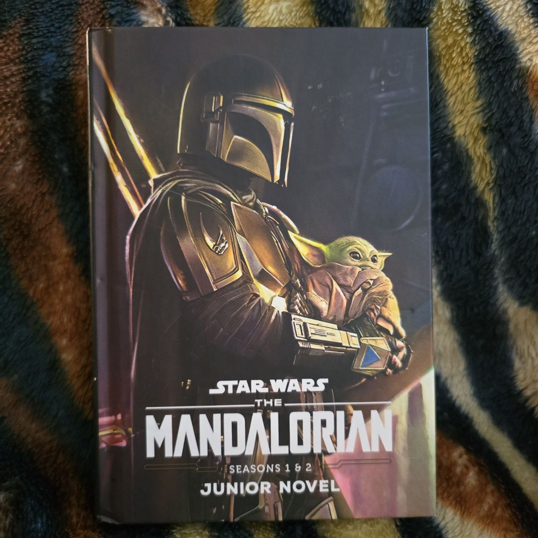 The Mandalorian