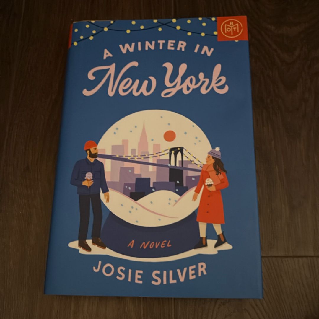 A Winter in New York