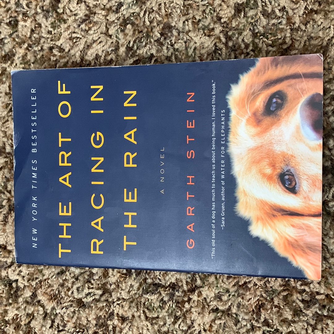 The Art of Racing in the Rain