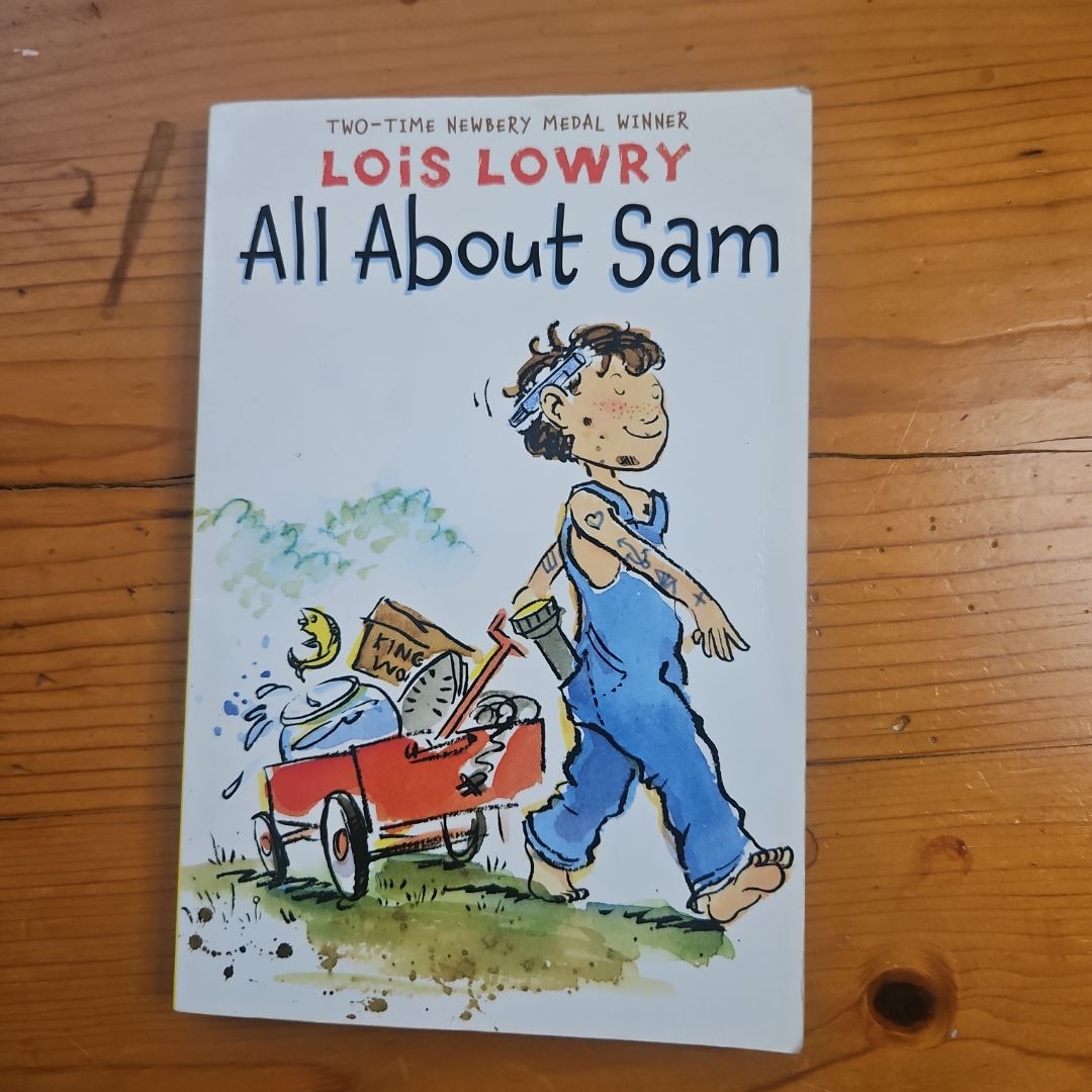 All about Sam
