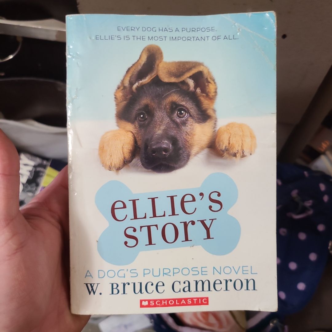 Ellie's Story