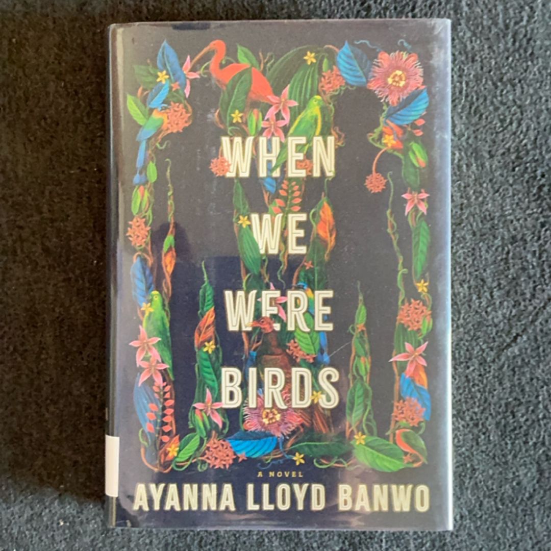 When We Were Birds