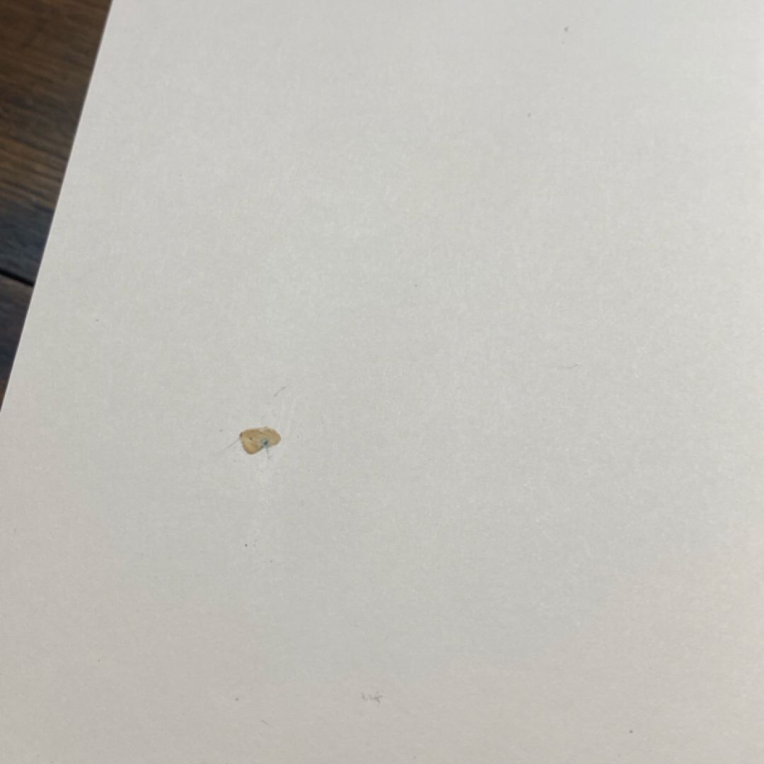 Cold Falling White