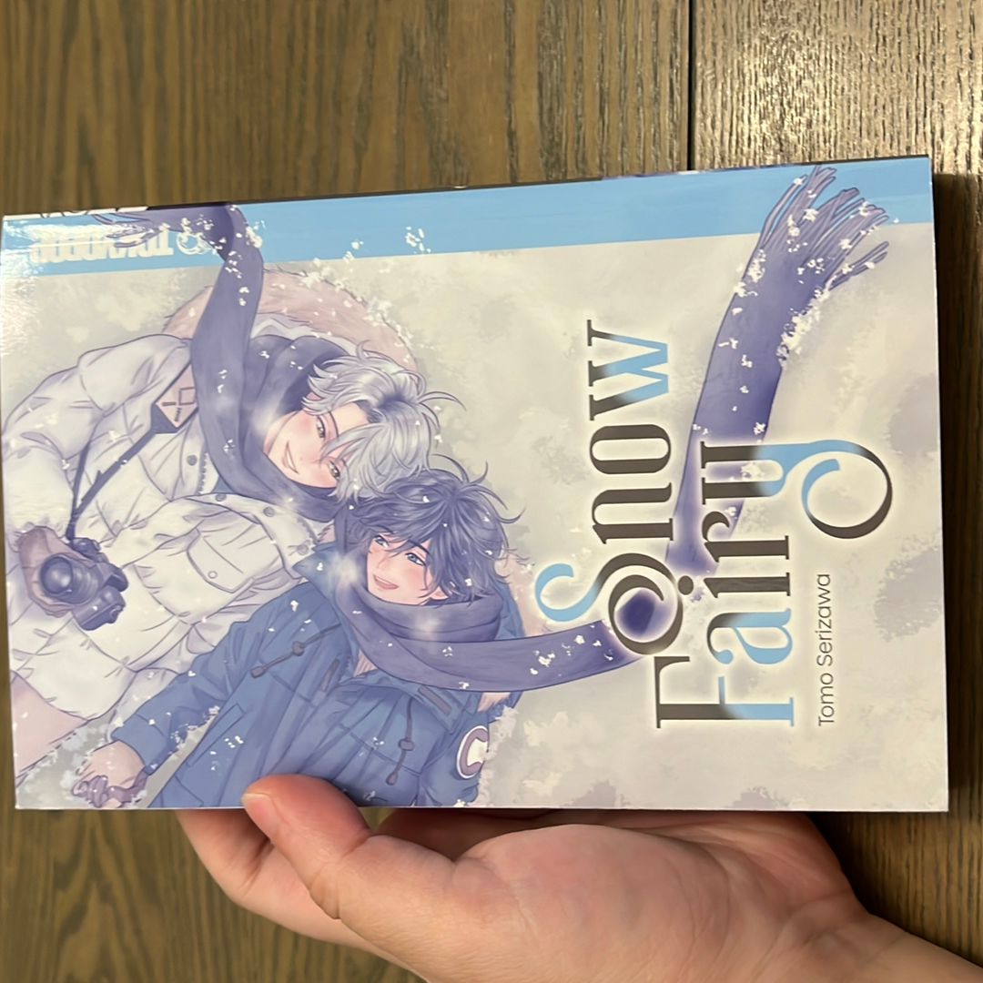 Snow Fairy