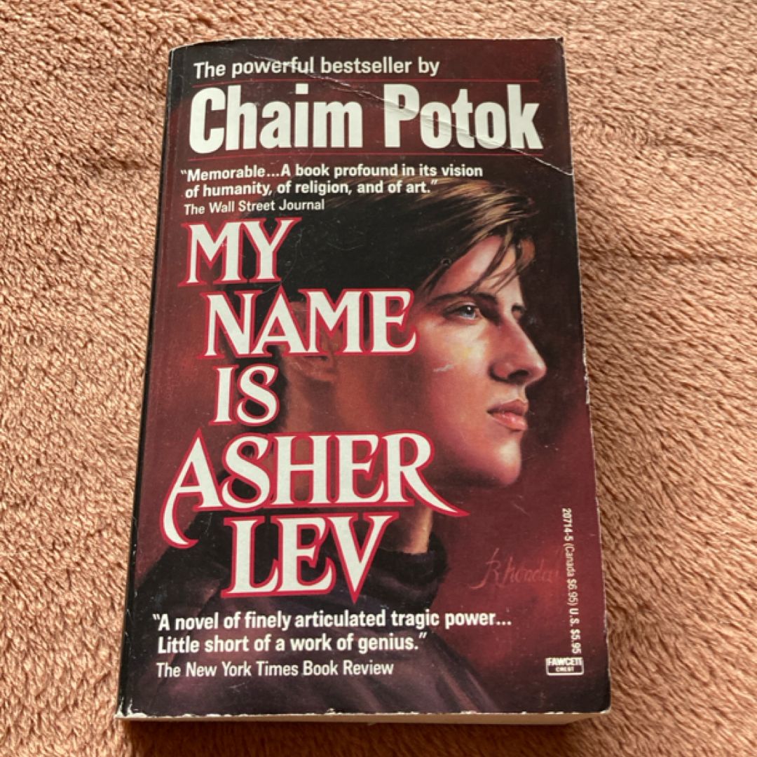 My Name Is Asher Lev