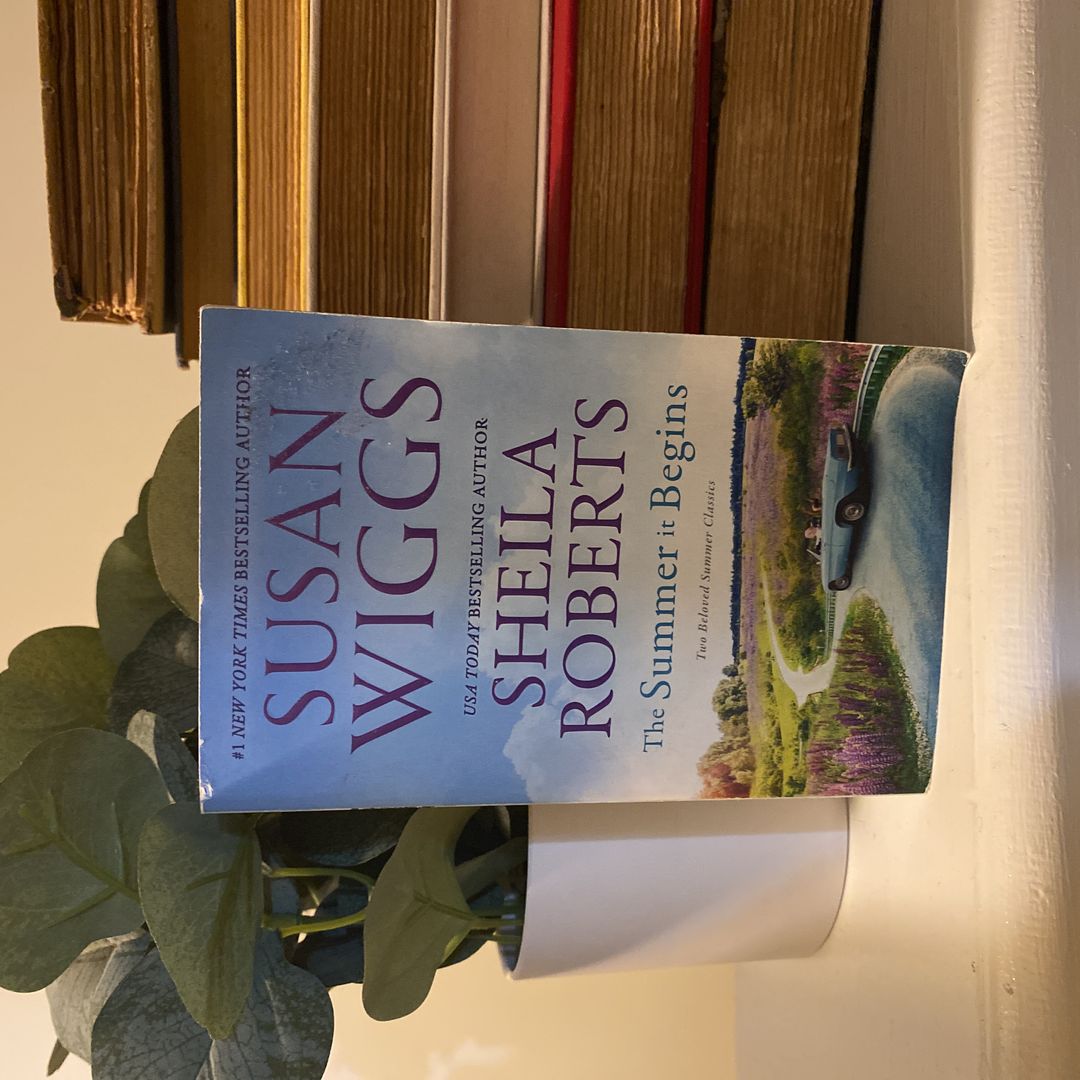 The Summer It Begins