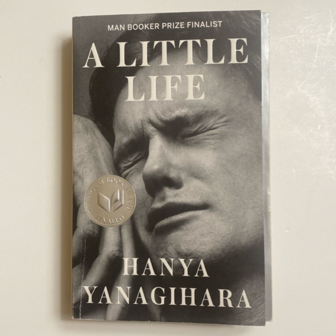 A Little Life