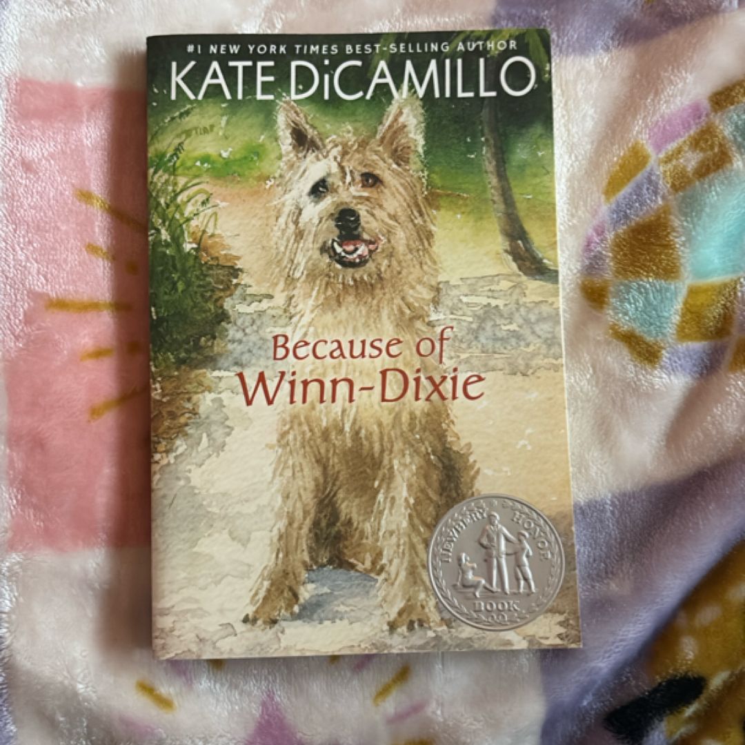 Because of Winn-Dixie