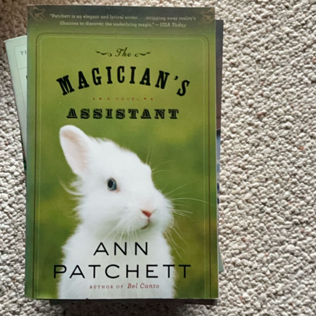 The Magician's Assistant