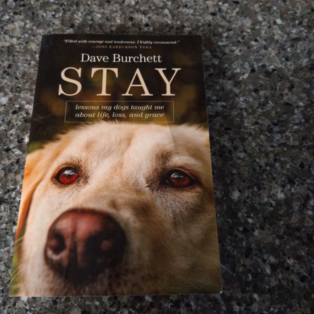 Stay