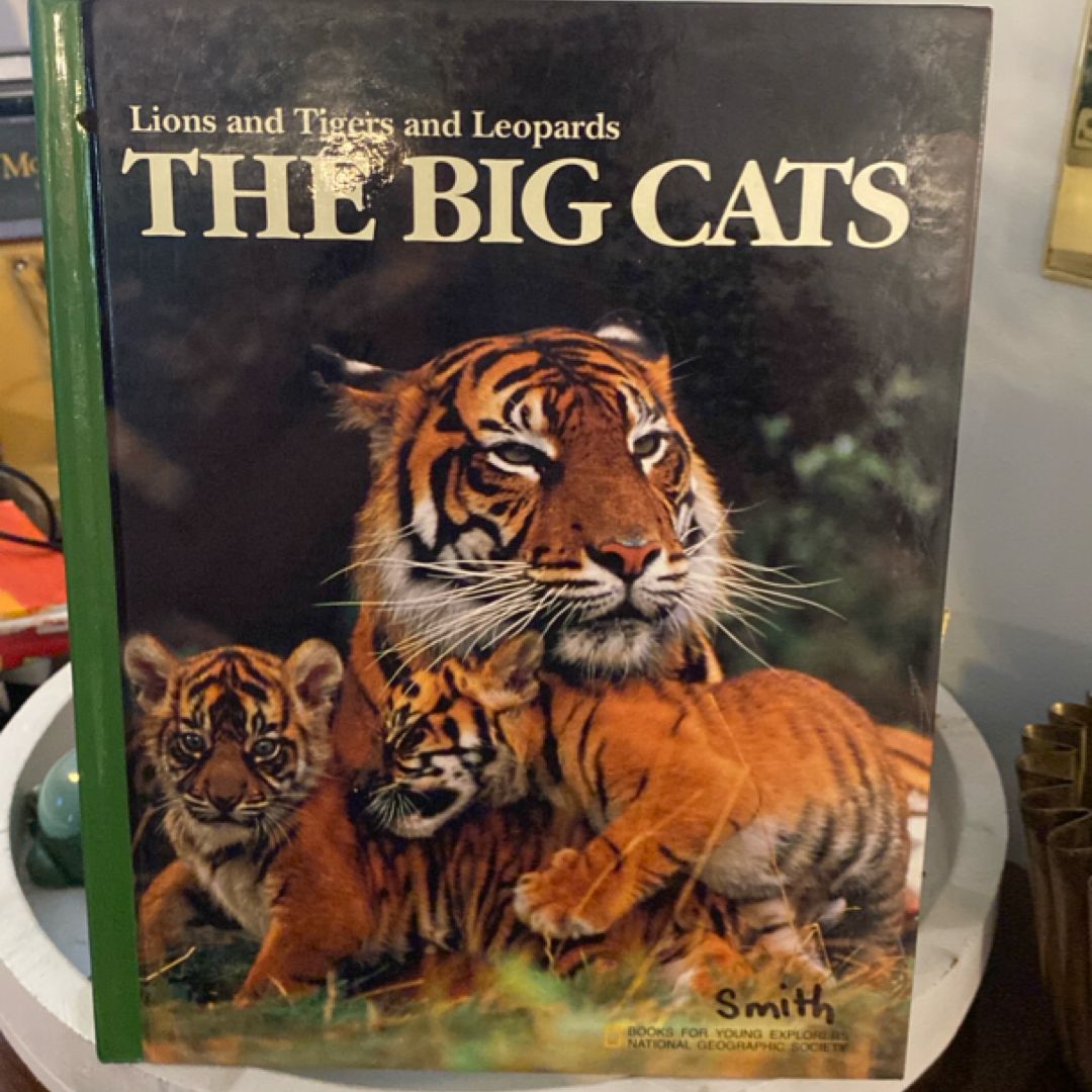 The Big Cats