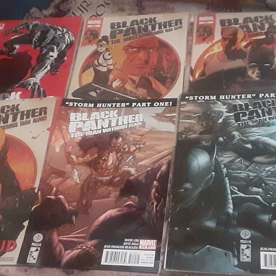 Black Panther - the Most Dangerous Man Alive