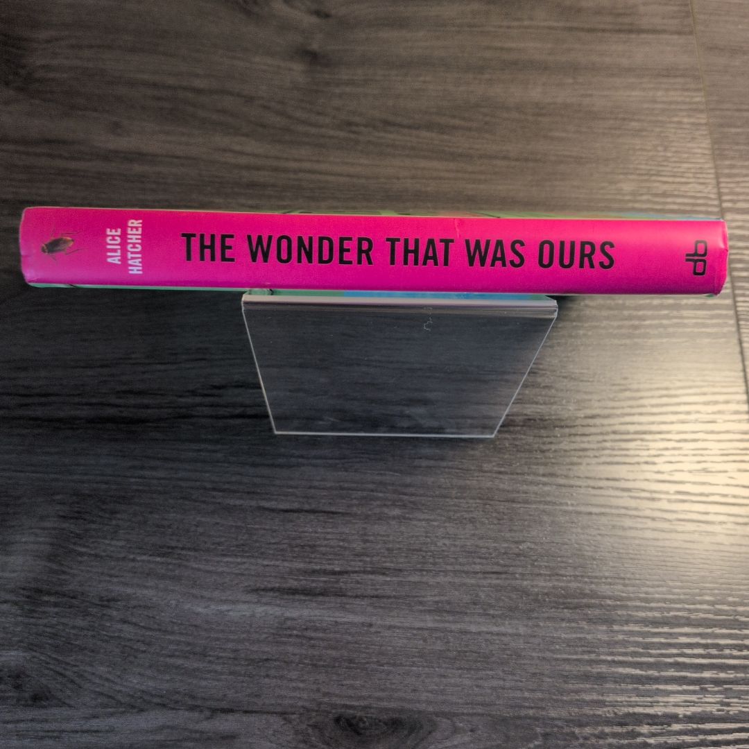 The Wonder That Was Ours by Alice Hatcher