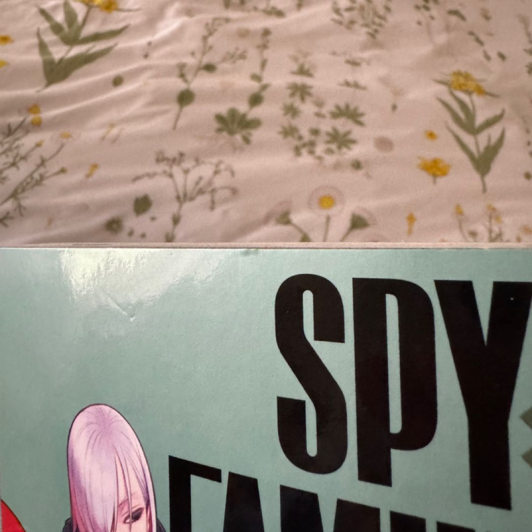 Spy X Family, Vol. 6