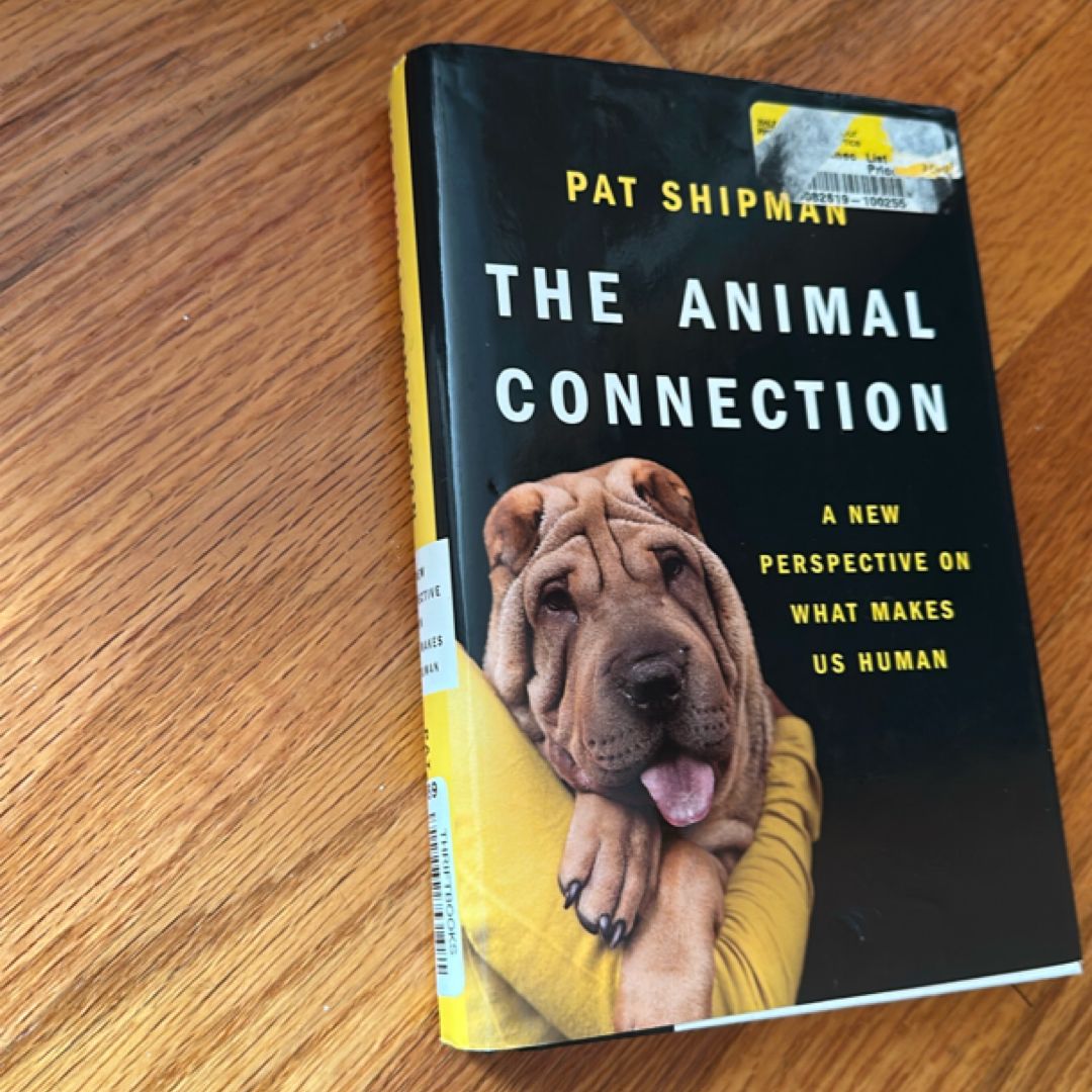 The Animal Connection by Pat Shipman, Hardcover | Pangobooks