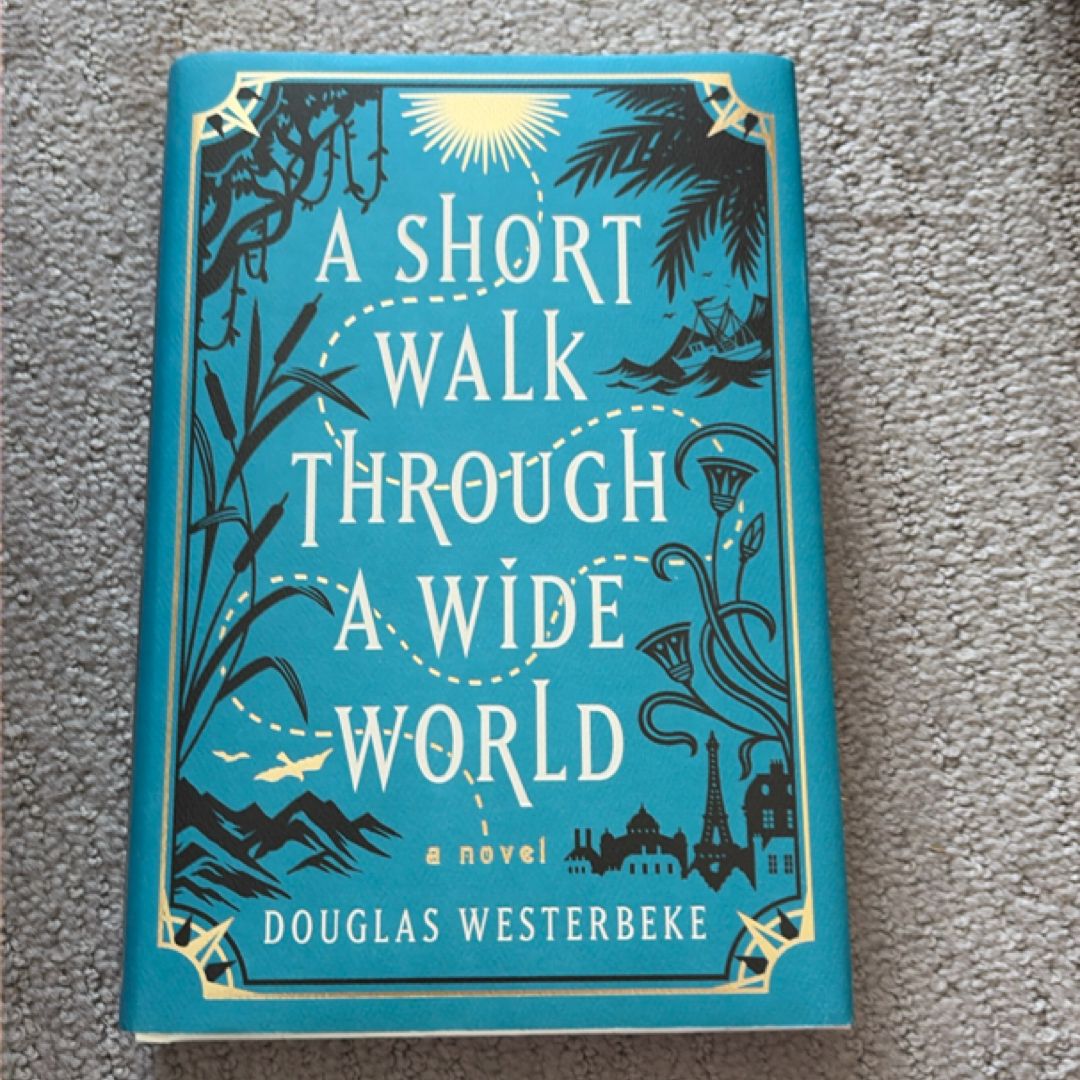 A Short Walk Through a Wide World