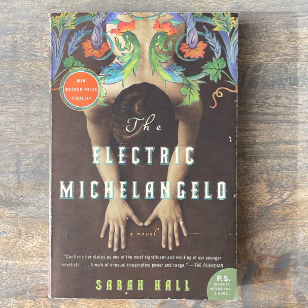 The Electric Michelangelo