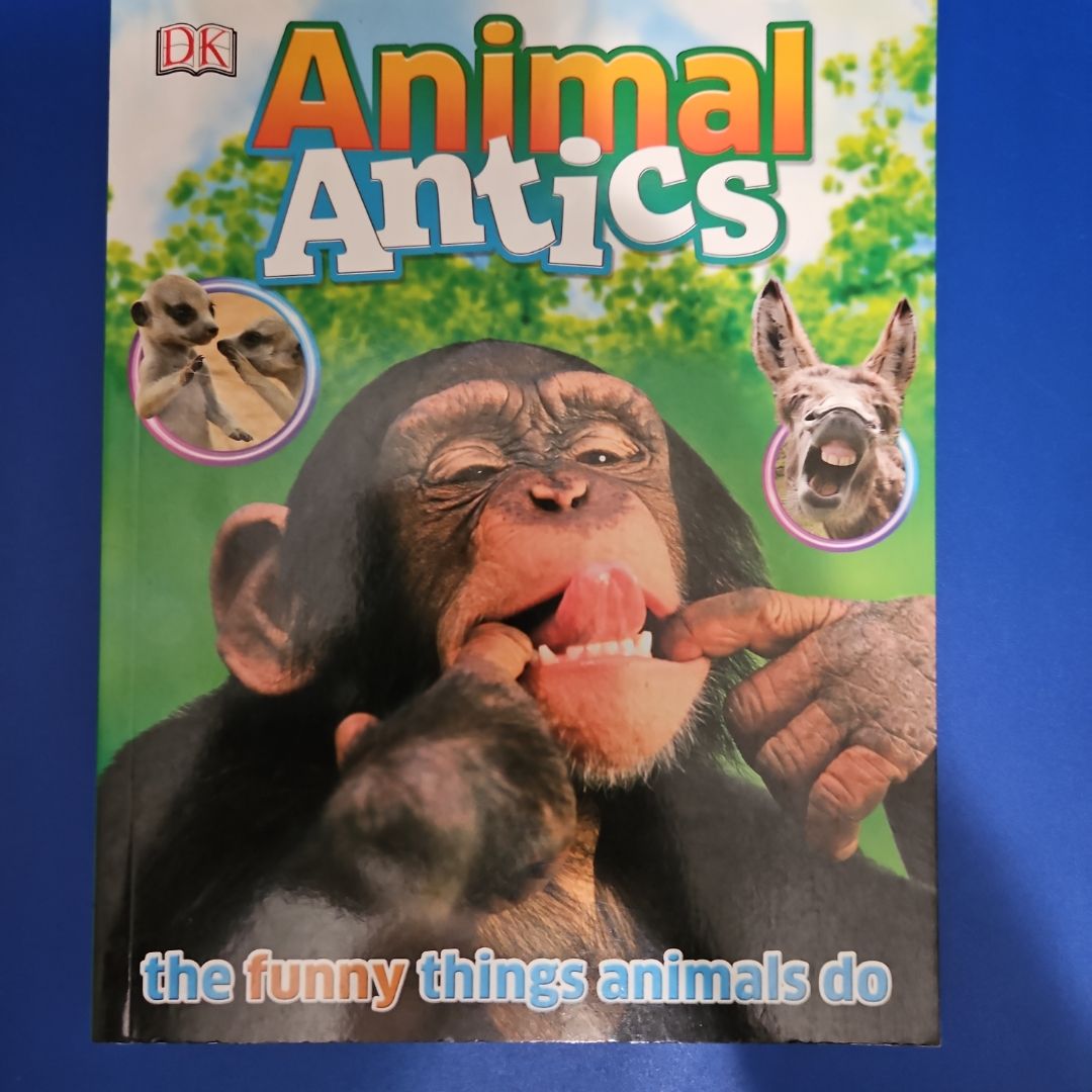 Animal Antics