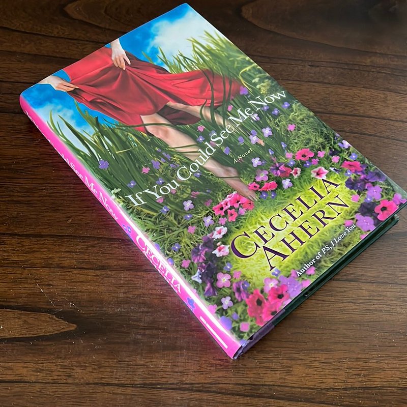 If You Could See Me Now