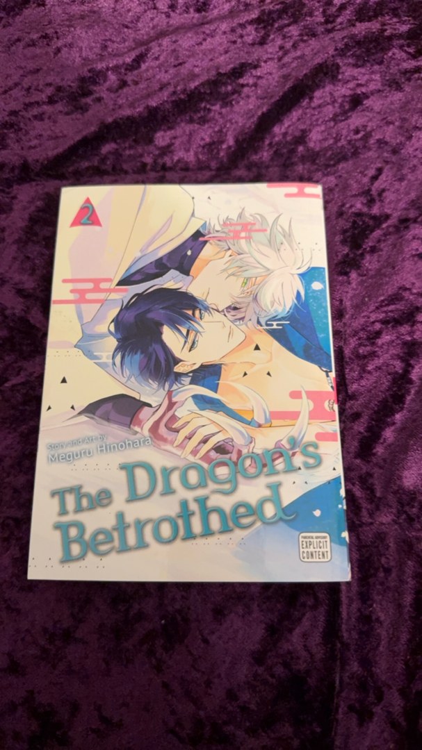 The Dragon's Betrothed, Vol. 2