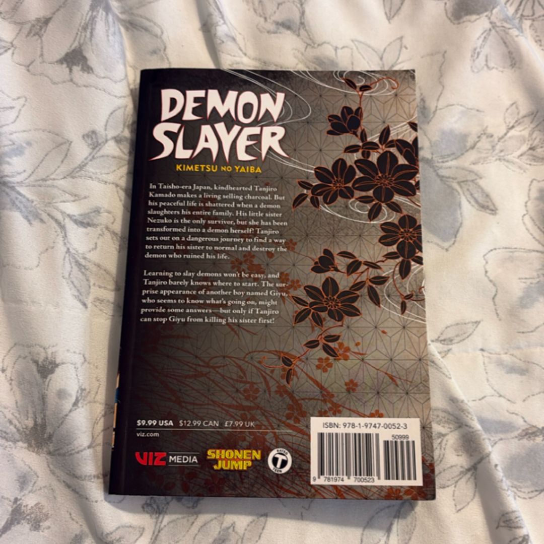 Demon Slayer: Kimetsu No Yaiba, Vol. 1