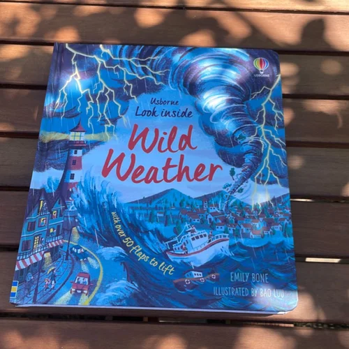 Look Inside Wild Weather