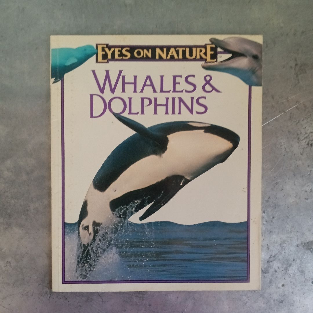 Whales & Dolphins