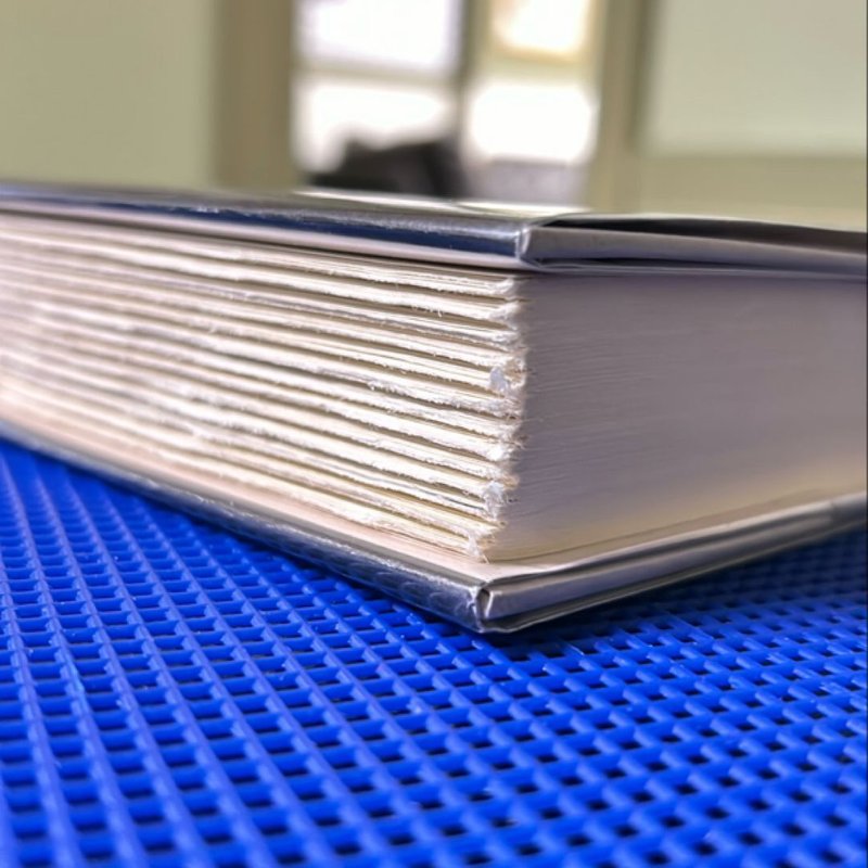 The Postmistress of Paris