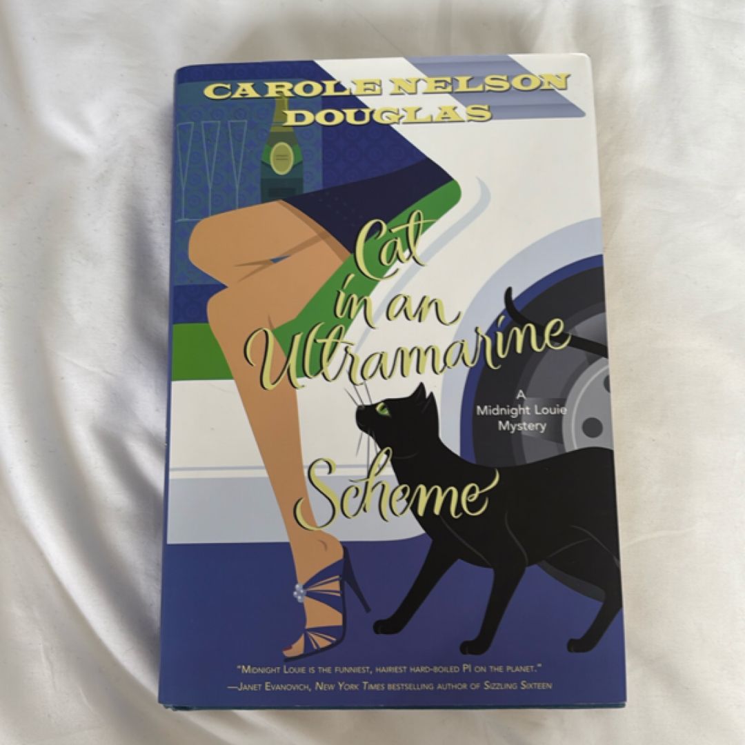 Cat in an Ultramarine Scheme