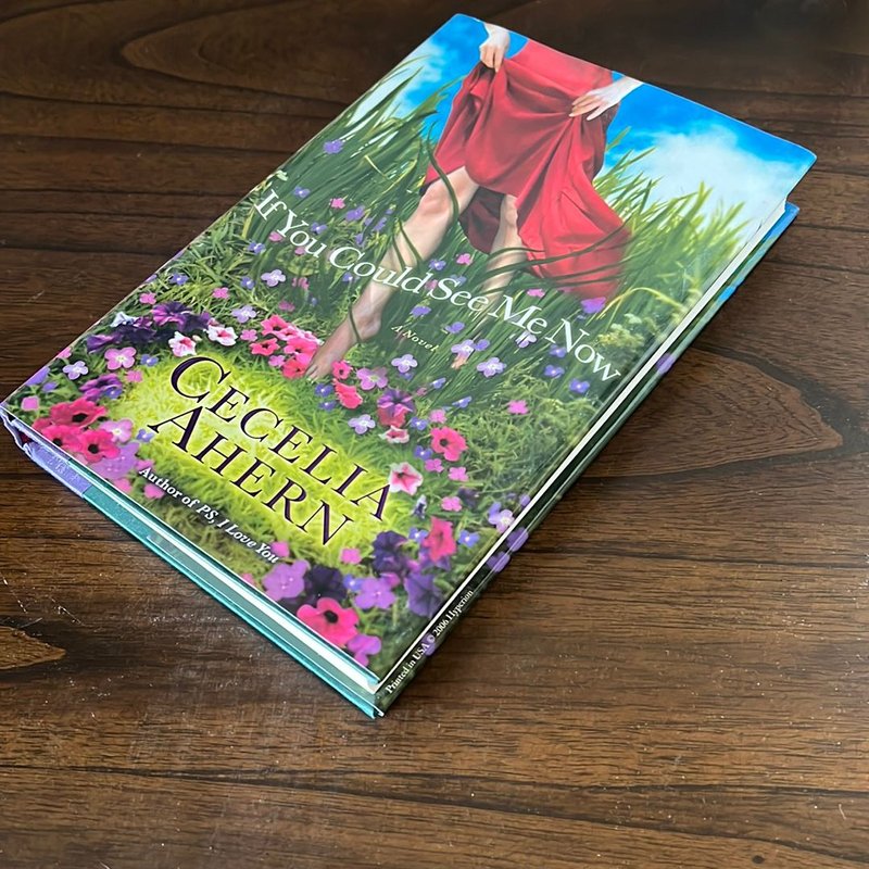 If You Could See Me Now